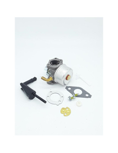 Carburateur Briggs&amp; Stratton 698474 - 798650 - 591299 pour Quantum
