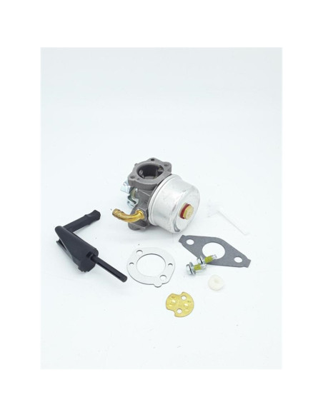 Carburateur Briggs&amp; Stratton 698474 - 798650 - 591299 pour Quantum