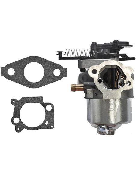Carburateur d'ORIGINE Briggs &amp; Stratton 591852-793493-595509