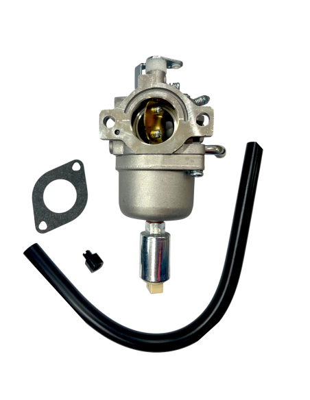 Carburateur Moteur Briggs et Stratton 594593-794572-697141