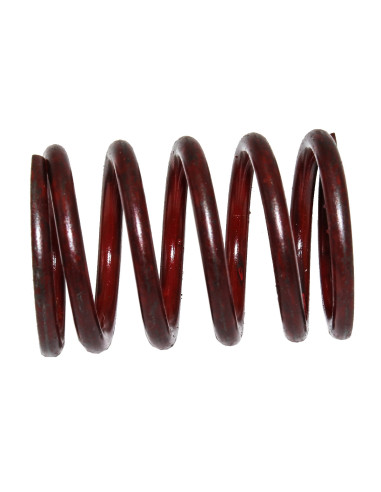 Ressort de soupape Echappement Briggs &amp; Stratton (Ex 26828)