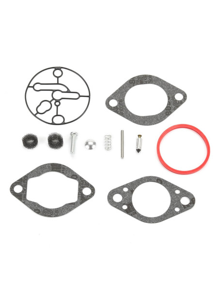 Kit carburateur Nikki pour moteur Briggs &amp; Stratton 696146 - 696147