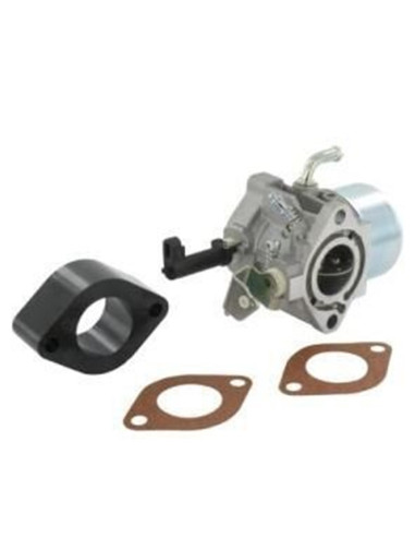 Carburateur complet a cuve modéle 245400 - 247400 (EX 715525) 