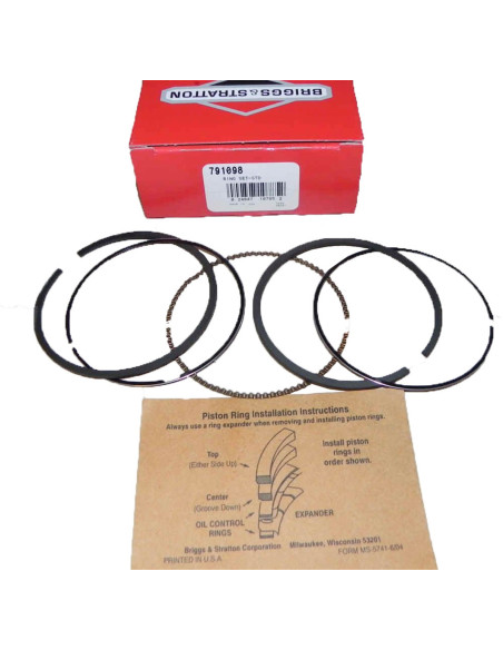Segments Briggs &amp; Stratton 791098 - 790360