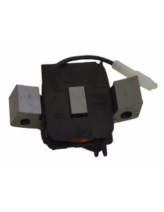 Alternateur Briggs &amp; Stratton 794103