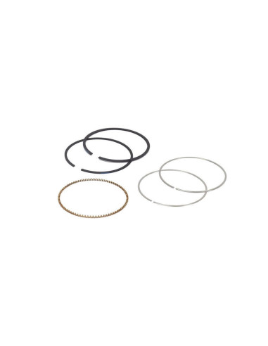 Segments Briggs &amp; Stratton 795690 - 795132 - 790909