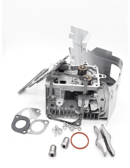 Culasse moteur Briggs &amp; Stratton 796026, 698147, 698148