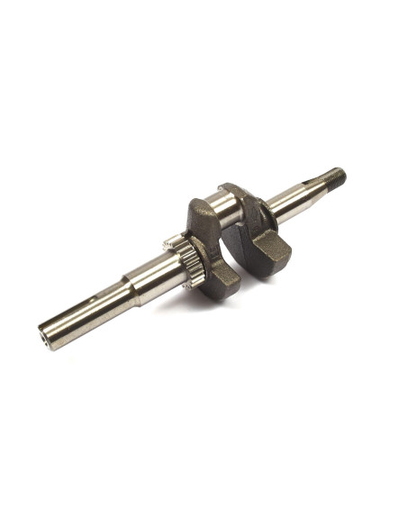 Vilebrequin Briggs &amp; Stratton 797018 - 691451 - 498565