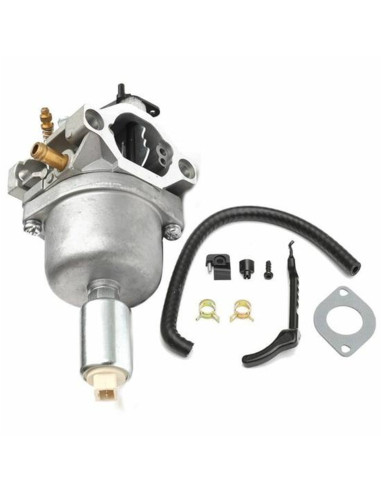 Carburateur Tondeuse  Briggs &amp; Stratton 799727 - 698620