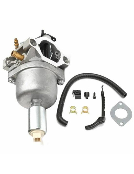 Carburateur Tondeuse  Briggs &amp; Stratton 799727 - 698620