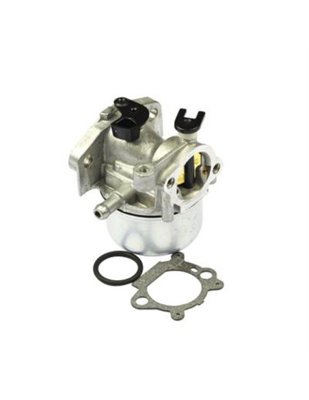 Carburateur pour Briggs &amp; Stratton 799866 - 799871 -790845