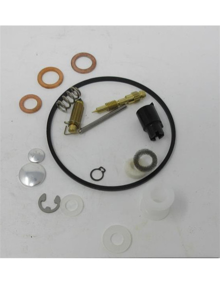 Kit réparation carburateur Briggs &amp; Stratton 842890