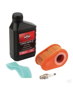 Kit entretien pour moteur Briggs &amp; Stratton série 700 992203 - 992234