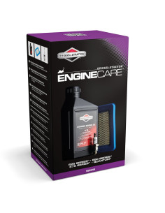 Kit entretien pour moteur série 600 Briggs &amp; Stratton 992233-992244