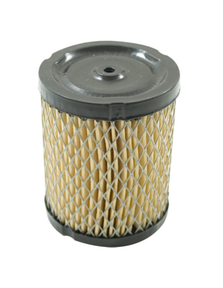 Filtre à air TECUMSEH  34782 pour tondeuse