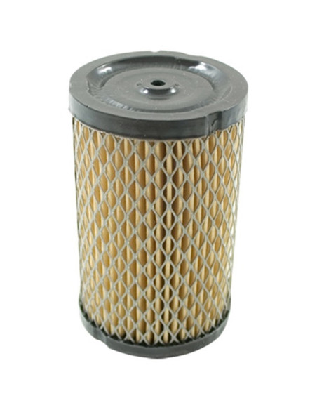 Filtre à air TECUMSEH 34782
