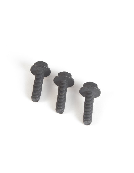 Vis autotaraudeuse lot de 3 pour AYP 157722, 138776, 173984
