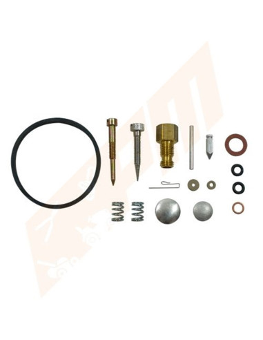 Kit réparation carburateur pour Tecumseh 631029