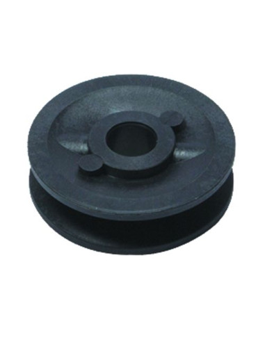 Poulie pour CASTELGARDEN - GGP 22601904/0 - 25601557/0