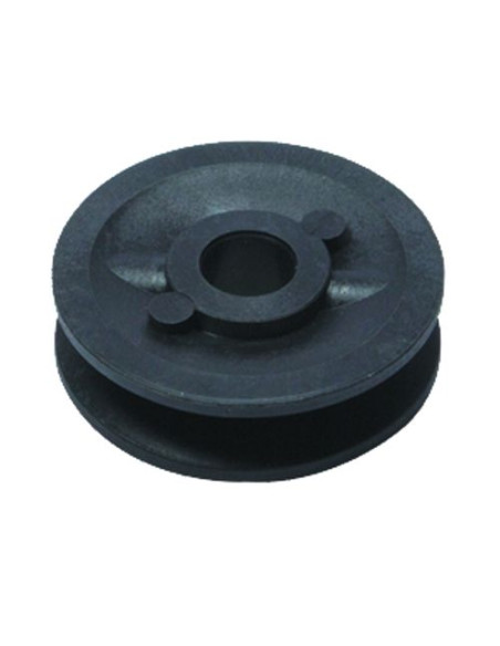 Poulie pour CASTELGARDEN - GGP 22601904/0 - 25601557/0