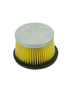 Filtre à air pour Tecumseh 30727