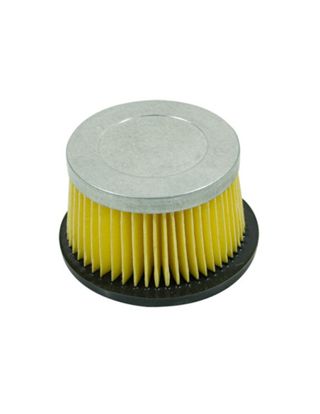 Filtre à air pour Tecumseh 30727