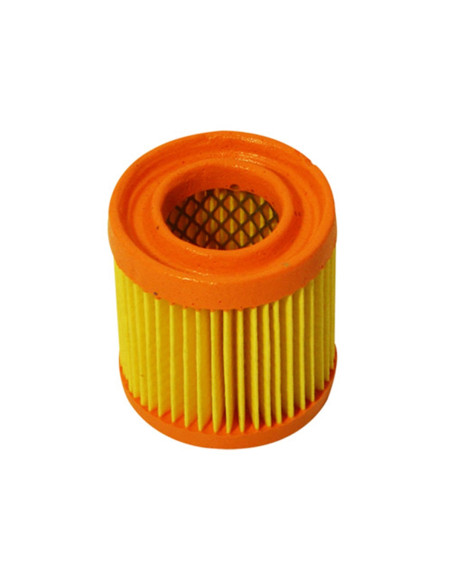 Filtre à air Tecumseh 23410027