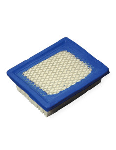 Filtre à air Tecumseh 36046