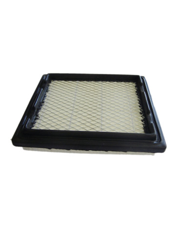 Filtre à air pour TECUMSEH 37360