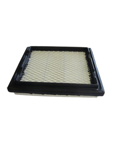 Filtre à air pour TECUMSEH 37360