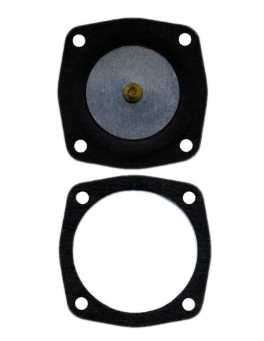 Membrane et joint Tecumseh - Aspera 23910004