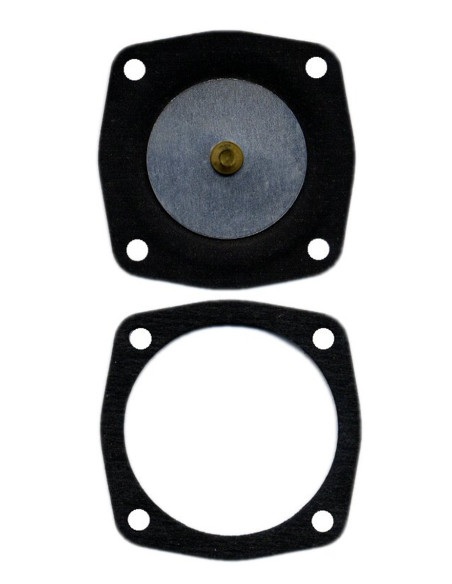 Membrane et joint Tecumseh - Aspera 23910004