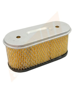 Filtre à air pour Briggs &amp; Stratton 491021