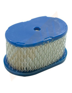 Filtre à air pour BRIGGS &amp; STRATTON 494586, 497725