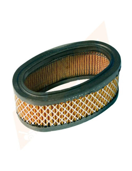 Filtre à air pour Briggs &amp; Stratton 393406