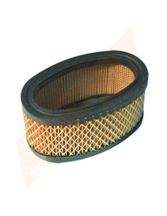 Filtre à air pour Briggs &amp; Stratton 393725