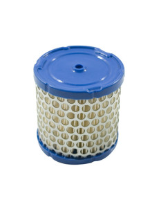 Filtre à air pour Briggs &amp; Stratton 396424