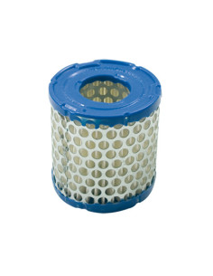 Filtre à air pour BRIGGS &amp; STRATTON 392308