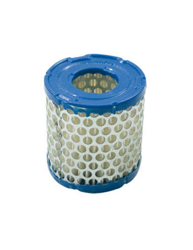 Filtre à air pour BRIGGS &amp; STRATTON 392308