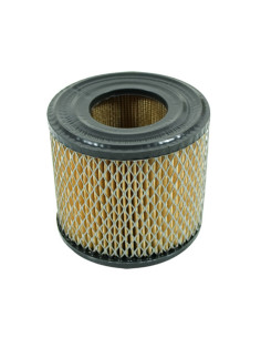 Filtre à air pour BRIGGS &amp; STRATTON 393957, 390930