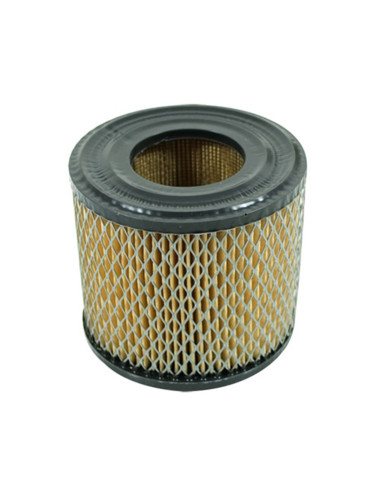 Filtre à air pour BRIGGS &amp; STRATTON 393957, 390930