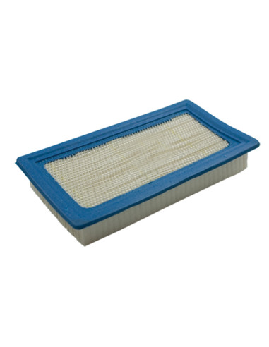 Filtre à air pour BRIGGS &amp; STRATTON 710265