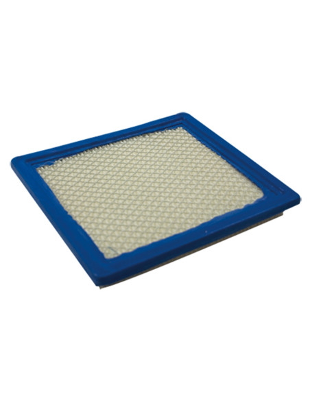 Filtre à air pour BRIGGS &amp; STRATTON 805113