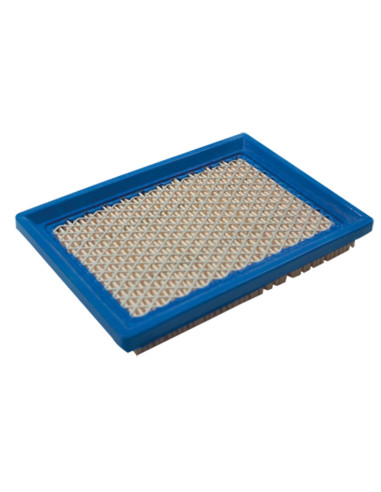Filtre à air pour BRIGGS &amp; STRATTON 397795