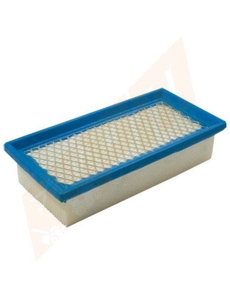 Filtre à air pour BRIGGS &amp; STRATTON 491384, 496077, 691643