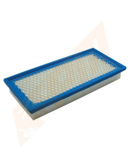 Filtre à air Briggs &amp; Stratton 710266