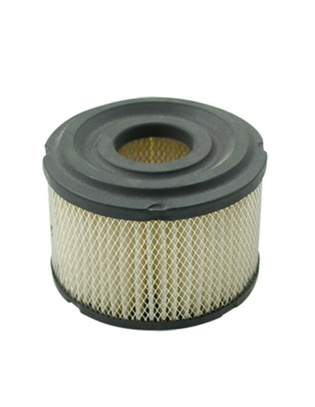 Filtre à air Briggs &amp; Stratton 390492 - 496047