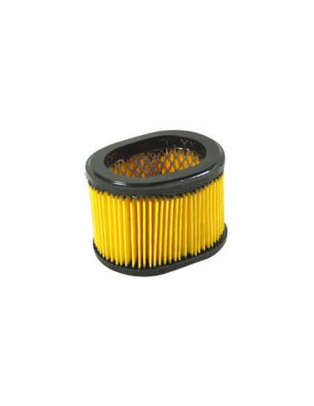 Filtre à air pour BRIGGS &amp; STRATTON 790166, 698867