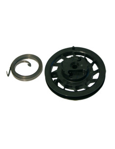 Poulie de tondeuse et ressort Briggs &amp; Stratton 499901