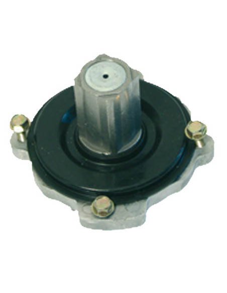 Embrayage cliquet de tondeuse BRIGGS &amp; STRATTON 399671, 394558, 29831